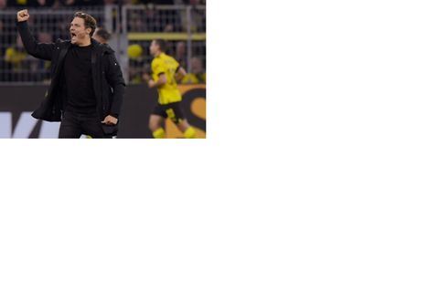 BVB-Cheftrainer Edin Terzic bejubelt einen Treffer
