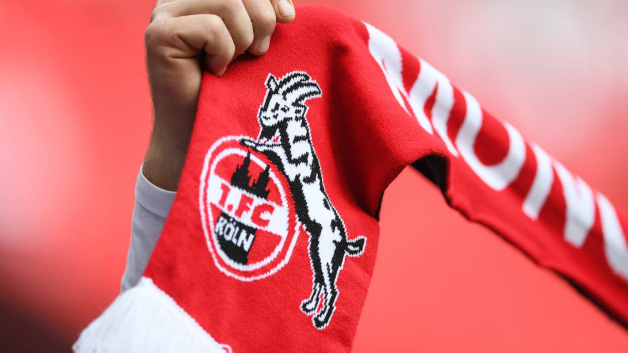 1.FC Köln Geschäftsführer Keller lässt tief blicken STERN.de