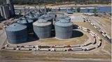 Die Dürre hat fatale Auswirkungen für Landwirte: Weil Schiffe nur langsam oder gar nicht mehr den Mississippi passieren können, kommen die Mais- und Soja-Lieferungen kaum noch voran. Bei diesem Silo in Greenville stauen sich bereits die Lkw. 