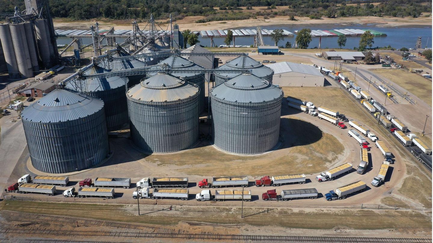 Die Dürre hat fatale Auswirkungen für Landwirte: Weil Schiffe nur langsam oder gar nicht mehr den Mississippi passieren können, kommen die Mais- und Soja-Lieferungen kaum noch voran. Bei diesem Silo in Greenville stauen sich bereits die Lkw. 