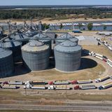 Die Dürre hat fatale Auswirkungen für Landwirte: Weil Schiffe nur langsam oder gar nicht mehr den Mississippi passieren können, kommen die Mais- und Soja-Lieferungen kaum noch voran. Bei diesem Silo in Greenville stauen sich bereits die Lkw. 