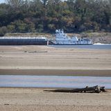 Mississippi bei Portageville