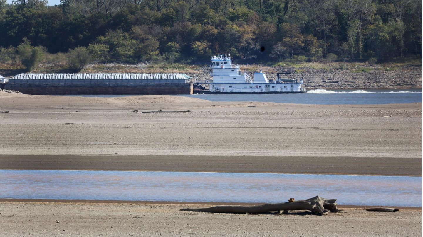 Mississippi bei Portageville
