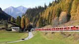 Ein fast zwei Kilometer langer Zug fährt entlang eines Waldstücks in der Schweiz