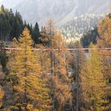 Fast zwei Kilometer langer Rekord-Zug überquert ein Viadukt in der Schweiz
