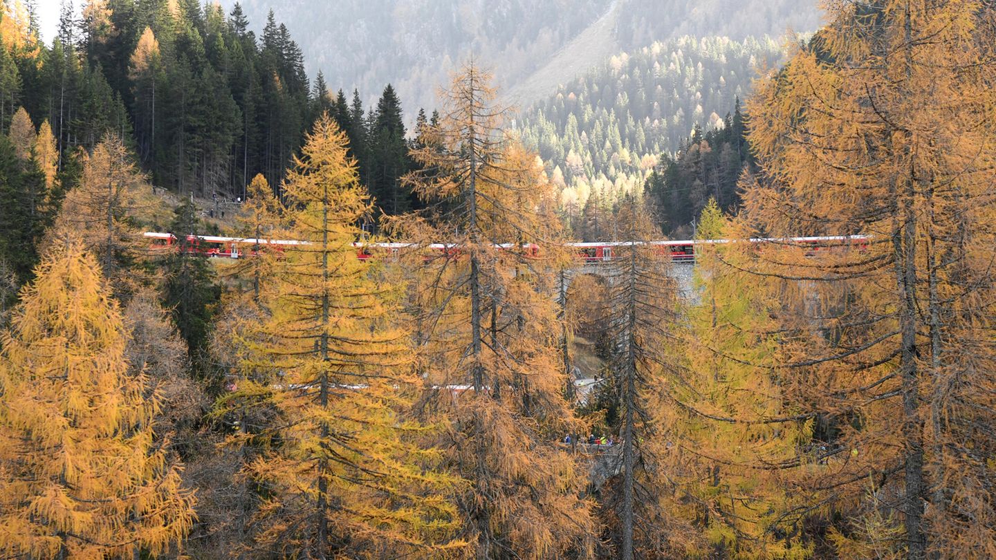 Fast zwei Kilometer langer Rekord-Zug überquert ein Viadukt in der Schweiz