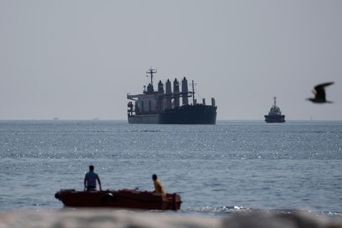 Das mit Getreide beladene Frachtschiff "Lady Zehma" ankert im Marmarameer