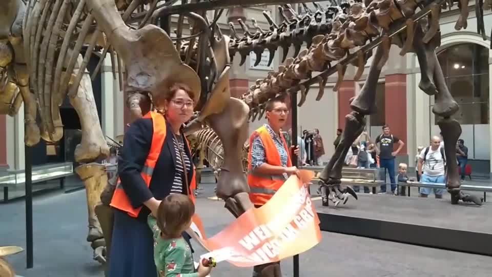 Video: Klimaschützerinnen kleben sich an Dino-Skelett