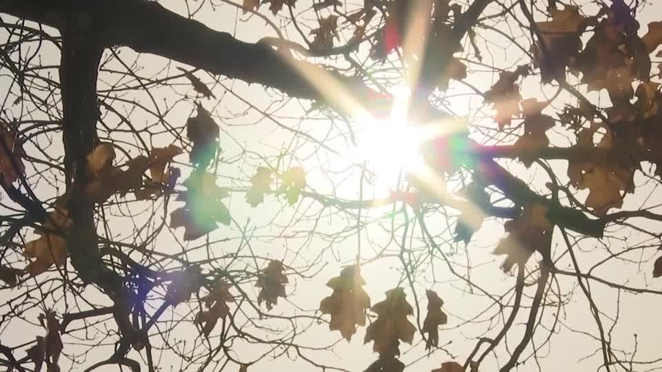 Video: Oktober geht sommerlich zu Ende