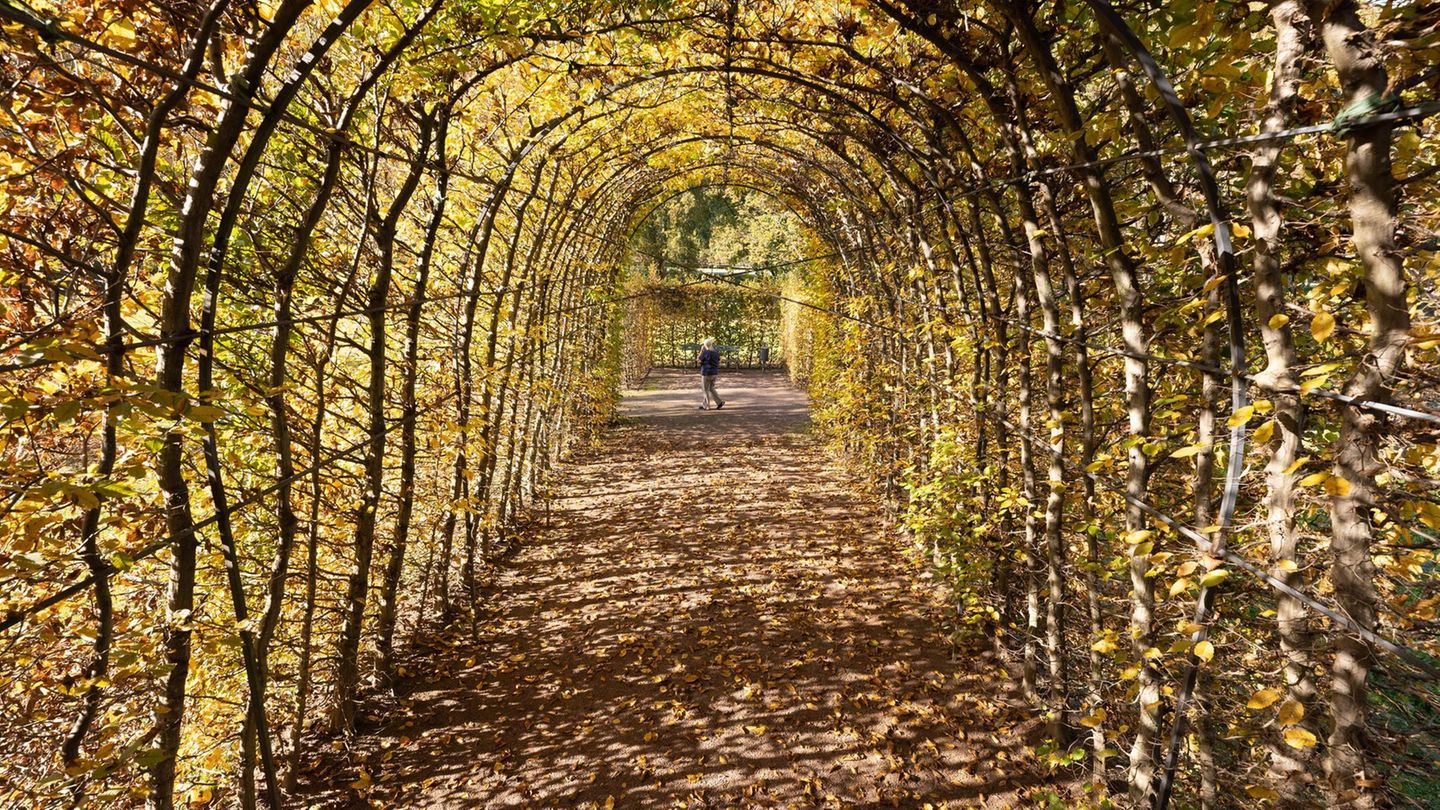 Herbststimmung in Sachsen. Passanten gehen im Schlosspark Weesenstein durch die bunte Parkanlage.