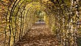 Herbststimmung in Sachsen. Passanten gehen im Schlosspark Weesenstein durch die bunte Parkanlage.