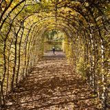 Herbststimmung in Sachsen. Passanten gehen im Schlosspark Weesenstein durch die bunte Parkanlage.