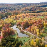 Schlussspurt in der Nordamerika-Anlage des Forstbotanischen Gartens in Tharandt. Die Einrichtung der Technischen Universität Dresden ist nur bis Ende Oktober geöffnet. Schade, denn diese herrlich Farben könnte man auch länger genießen. 