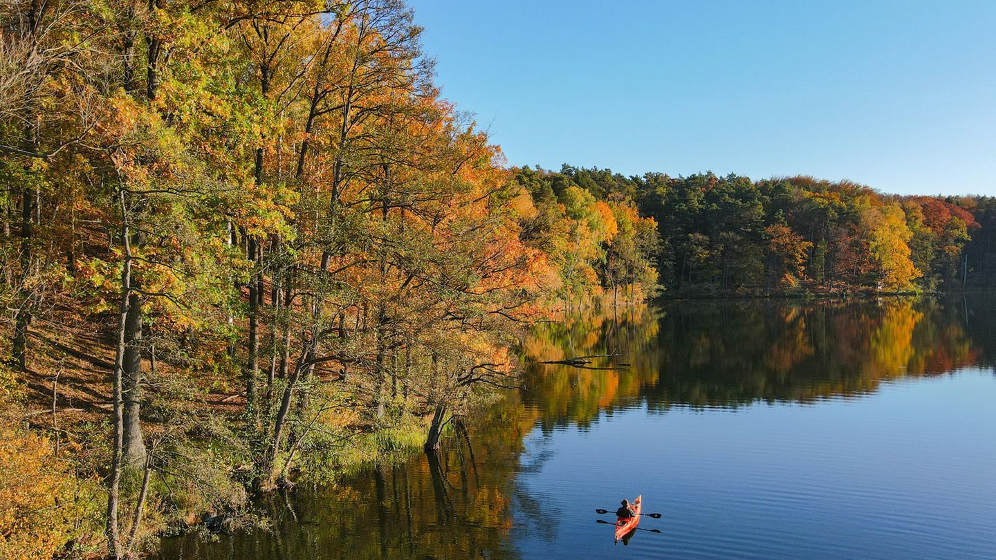 Bei so einer Kulisse macht die Fahrt mit dem Kajak erst richtig Spaß. Am Trepliner See in Brandenburg leuchtet der Wald regelrecht.