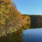 Bei so einer Kulisse macht die Fahrt mit dem Kajak erst richtig Spaß. Am Trepliner See in Brandenburg leuchtet der Wald regelrecht.
