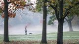 Auch der morgendliche Nebel gehört zum Herbst dazu. Hier geht eine Frau mit ihrem Hund im Rebstockpark in Frankfurt am Main spazieren.