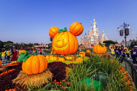 Das Disneyland in Shanghai