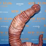 Model Heidi Klum posiert in ihrem Halloween-Kostüm.