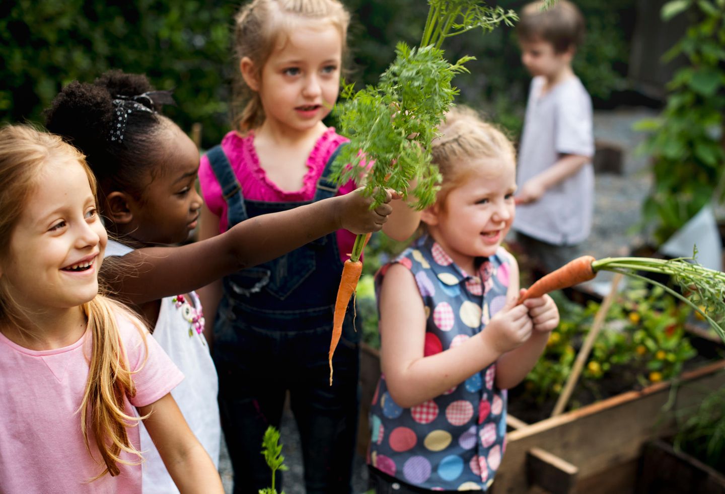 Kinder mit selbst geernteten Möhren