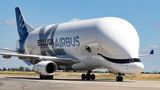 Beluga XL
