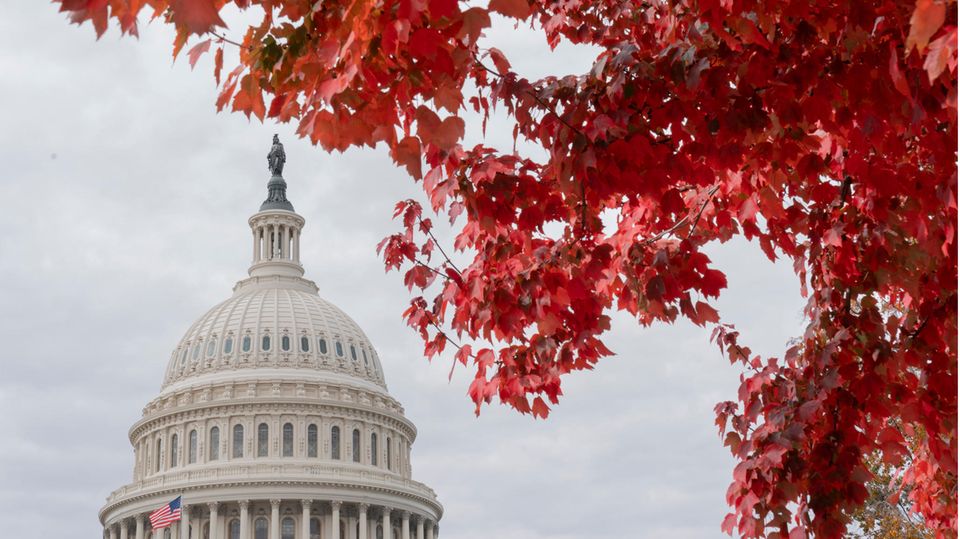 Herbstblätter mit dem Capitol in Washington