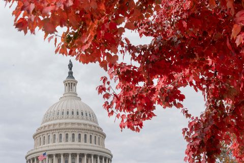 Herbstblätter mit dem Capitol in Washington