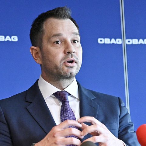 Thomas Schmid, Österreichs Ex-Finanzminister