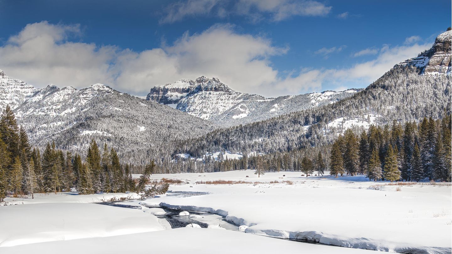 Nordamerika Yellowstone Nationalpark in den USA
