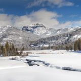 Yellowstone Nationalpark in den USA