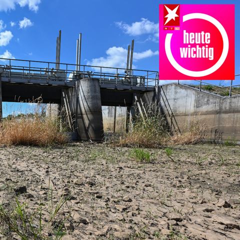Wassermangel führte im vergangenen Sommer zu ausgetrockneten Flussbetten wie hier in der Schwarzen Elster in Südbrandenburg