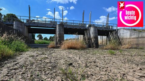 Wassermangel führte im vergangenen Sommer zu ausgetrockneten Flussbetten wie hier in der Schwarzen Elster in Südbrandenburg