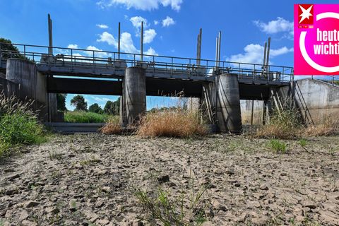 Wassermangel führte im vergangenen Sommer zu ausgetrockneten Flussbetten wie hier in der Schwarzen Elster in Südbrandenburg