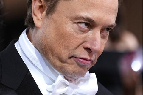 Elon Musk, CEO von Tesla und SpaceX, hat nun auch Twitter aufgekauft