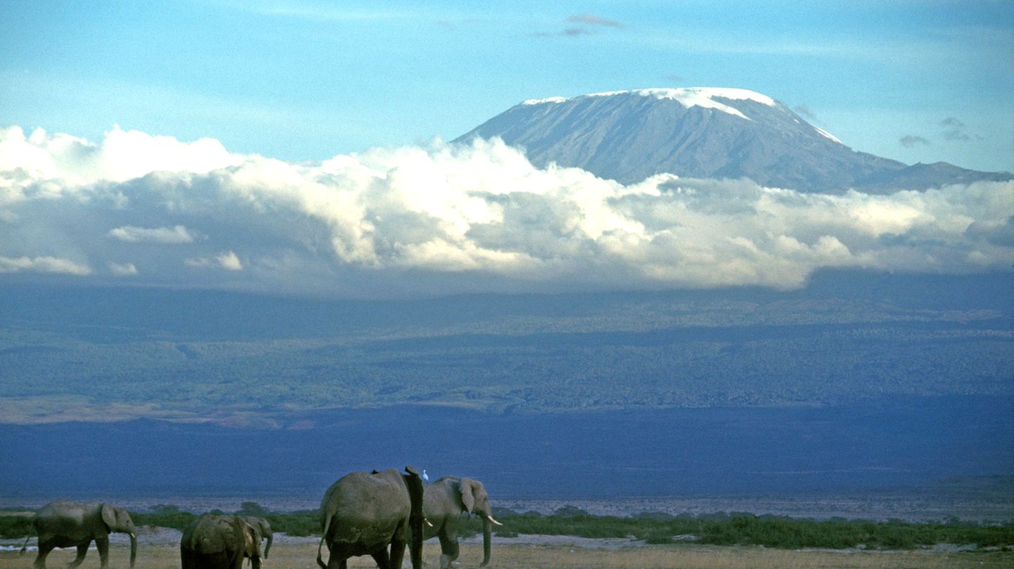 Afrika Kilimandscharo