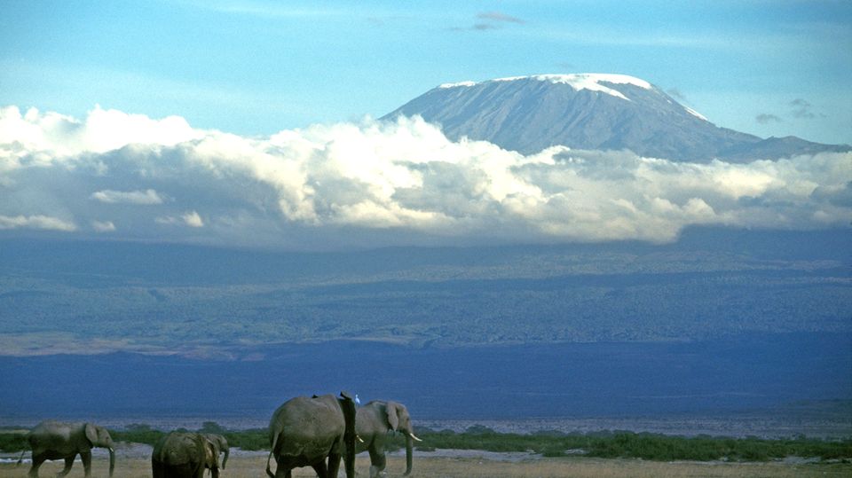 Afrika Kilimandscharo