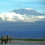 Afrika Kilimandscharo
