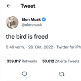 "Der Vogel ist befreit", schrieb Elon Musk bei Twitter, nachdem er den Kurznachrichtendienst gekauft hatte