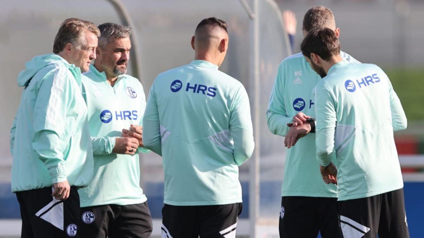 Hierarchy at Schalke: Büskens under rice with a smaller role