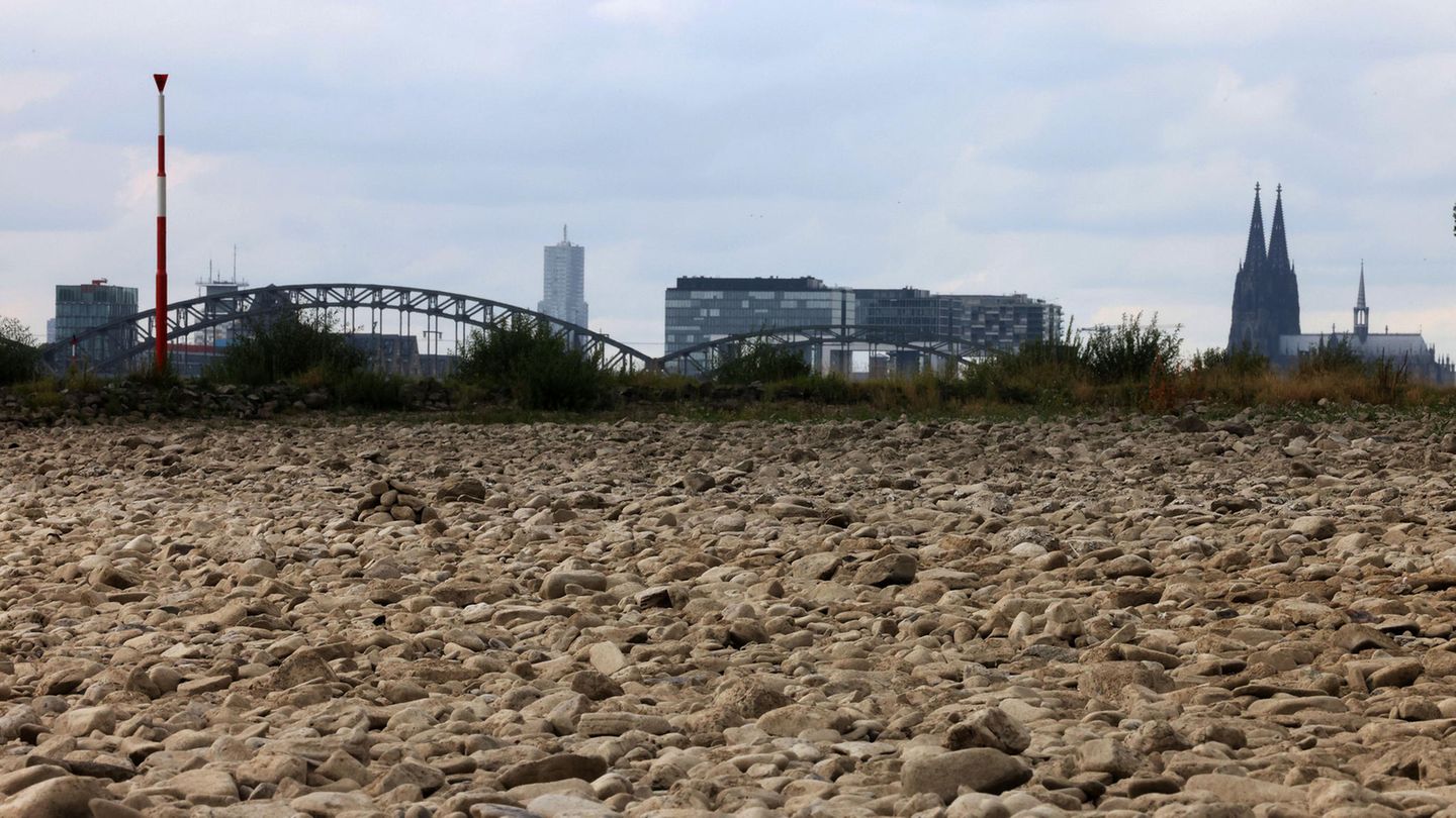 Klimakrise in D - Rhein Dürre