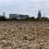 Klimakrise in D - Rhein Dürre
