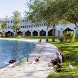 Sitz des IT- und Beratungsunternehmens IM in Boca, Florida. Das Herzstück des Quartiers in Boca, Florida, bildet ein sechseckiger Hof mit einem künstlich angelegten See in der Mitte. Eine geometrische Pfeilerkonstruktion ist das Kennzeichen des Y-förmigen Baus. Diese Form der Erdgeschoss-Gestaltung ist das Markenzeichen des verantwortlichen Architekten Marcel Breuer. Die Grünflächen rund um den Komplex sollen den Mitarbeitern Platz zur Erholung bieten. 