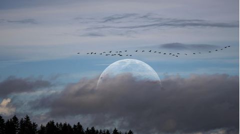 Mond – geheimnisvoller Erdtrabant: Woher kommt er?