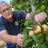 Klimakrise Deutschland - Obstanbau und Lasndwirtschaft
