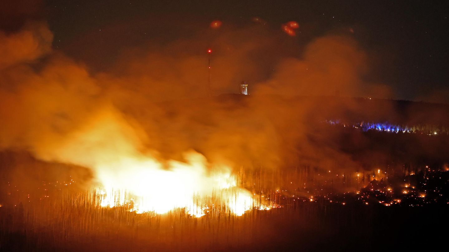 Klimakrise Deutschland - Waldbrände Klimakrise Deutschland - Waldbrände