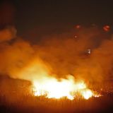 Klimakrise Deutschland - Waldbrände