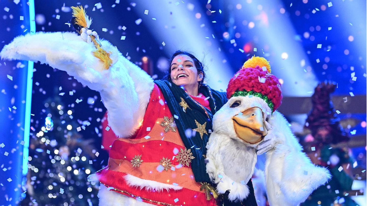 Finale Von "The Masked Singer": Das Sind Die Bisherigen Gewinner Der ...