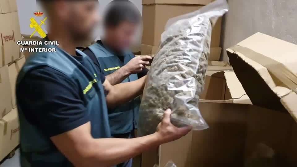 32 Tonnen: Spanien: Größte jemals gefundene Menge Marihuana beschlagnahmt