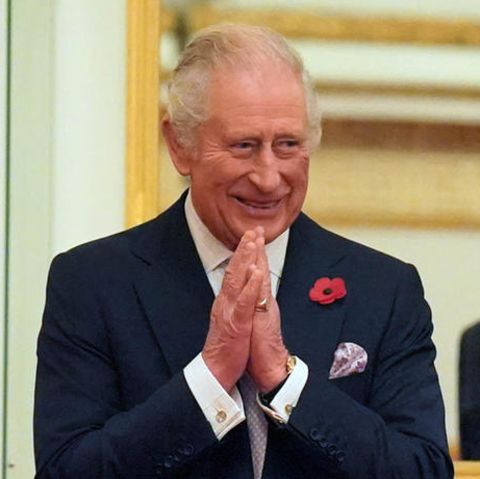 König Charles III. beim Empfang vor dem COP27-Klimagipfel im Buckingham Palast