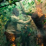 Ein Mann steht vor einem Baum umgeben von lauter Bienen