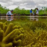 Junge Menschen stehen im Wasser